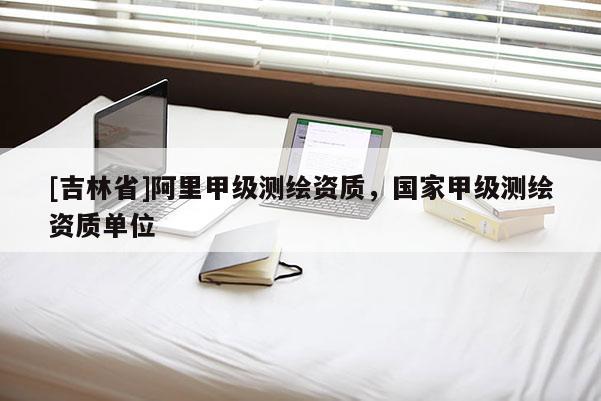 [吉林省]阿里甲級測繪資質(zhì)，國家甲級測繪資質(zhì)單位