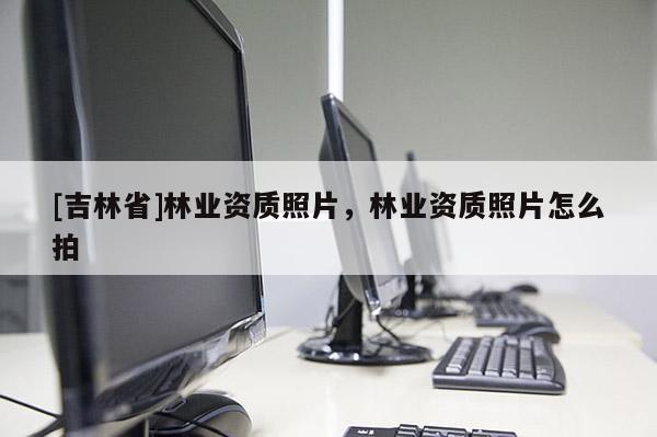 [吉林省]林業(yè)資質(zhì)照片，林業(yè)資質(zhì)照片怎么拍