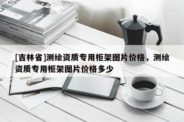 [吉林省]測(cè)繪資質(zhì)專用柜架圖片價(jià)格，測(cè)繪資質(zhì)專用柜架圖片價(jià)格多少